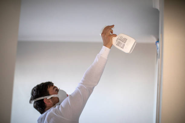Best Affordable Mold Removal  in Homestead Valley, CA