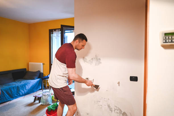 Best Mold Remediation  in Homestead Valley, CA